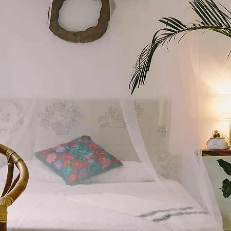 Destino Eco-Chic Boutique Hotel-3